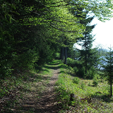 Tour du Lac de Malpas