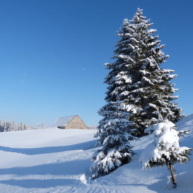 Site Raquettes de Mouthe - Chez Liadet - Les Combes Derniers