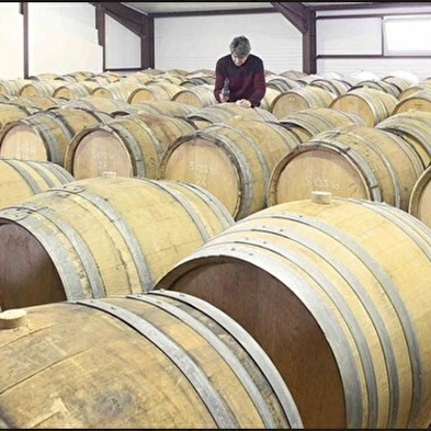 Domaine Ligier