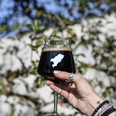 Brasserie The baboon