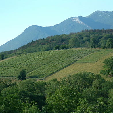 Patrimoine du village de Magnieu : Saint-Champ