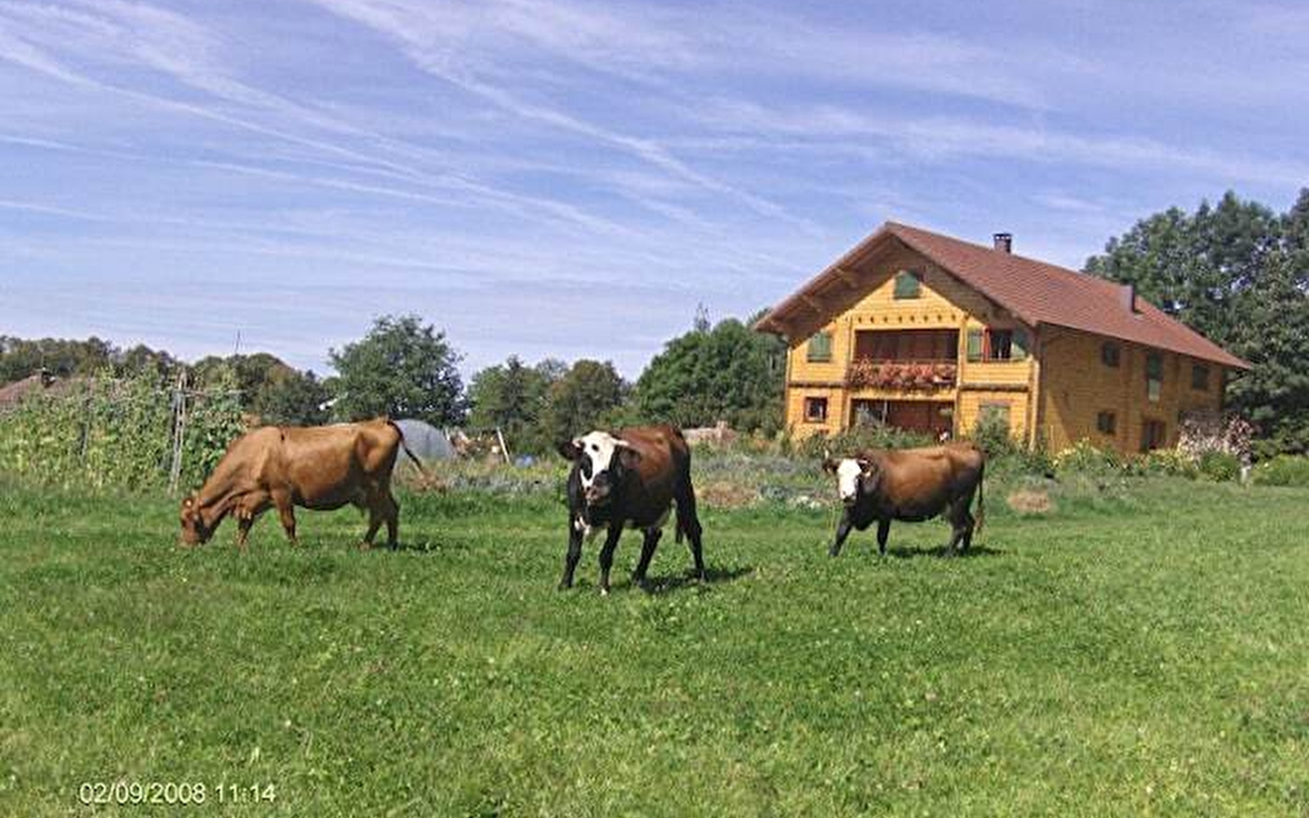 Chalet Scandinave Organique