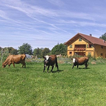 Chalet Scandinave Organique - LES PLANCHES-EN-MONTAGNE