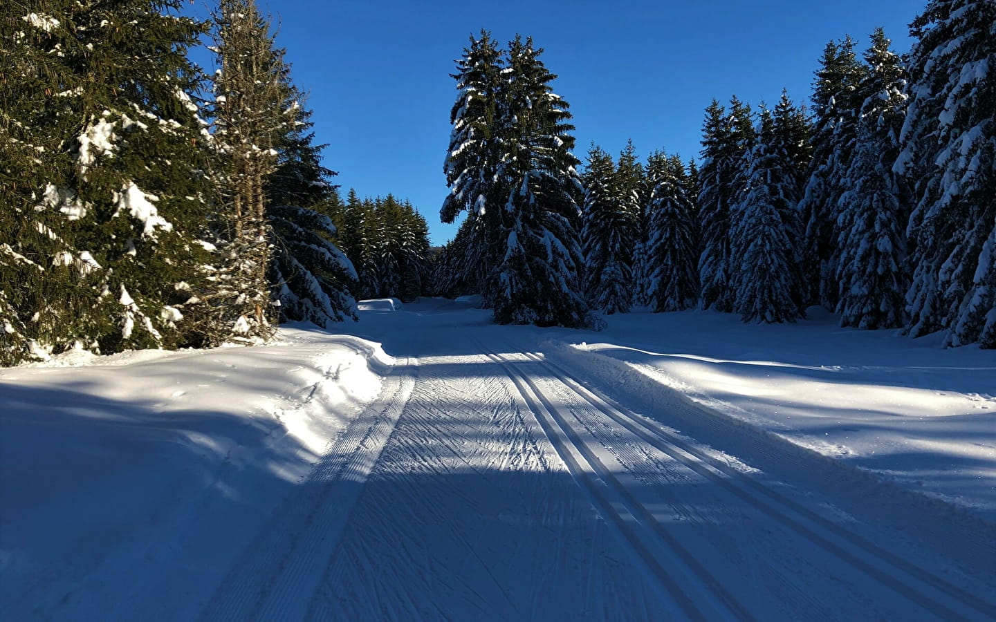 Piste verte de ski de fond de Lachat : Les Plânes