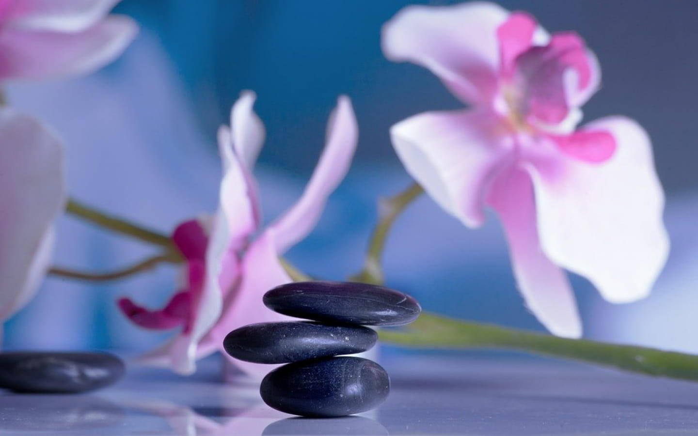 Ateliers de relaxation
