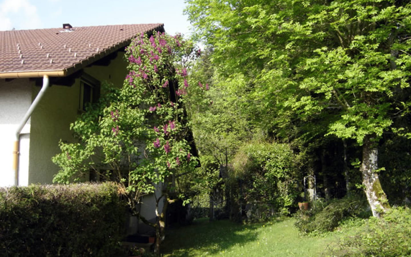 Appartement - Nelly et Gérard Jacquot