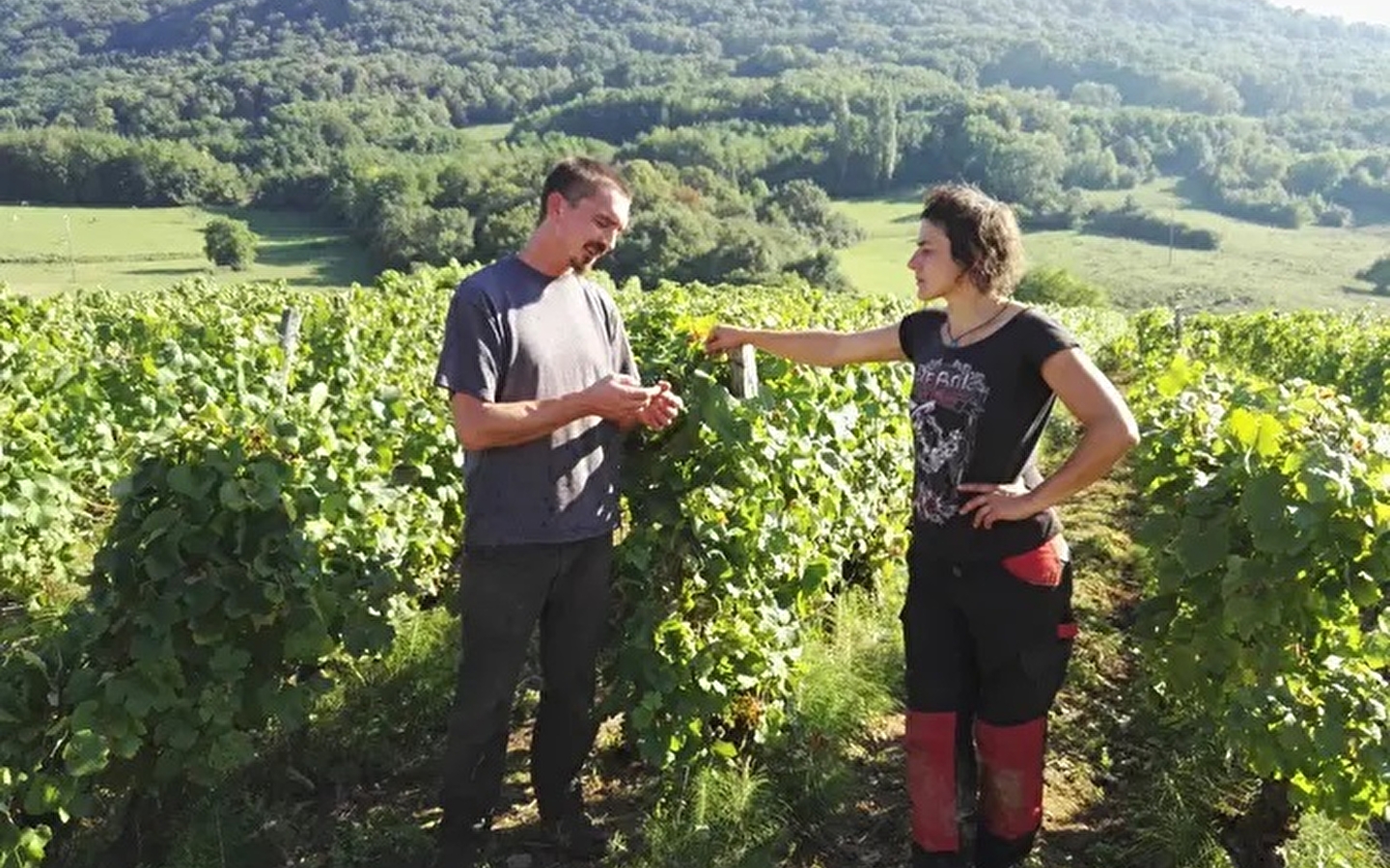 Domaine des Sarmentelles