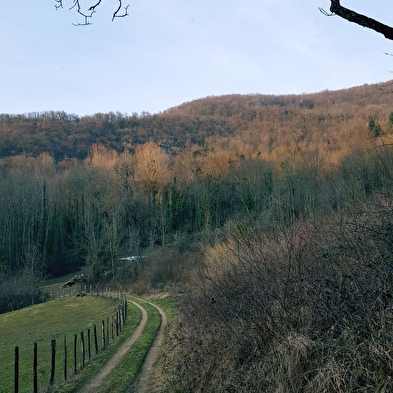 Balade nature : le sentier du Buizin