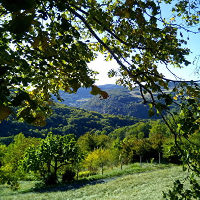 Aire de pique-nique - La vierge de Marchamp