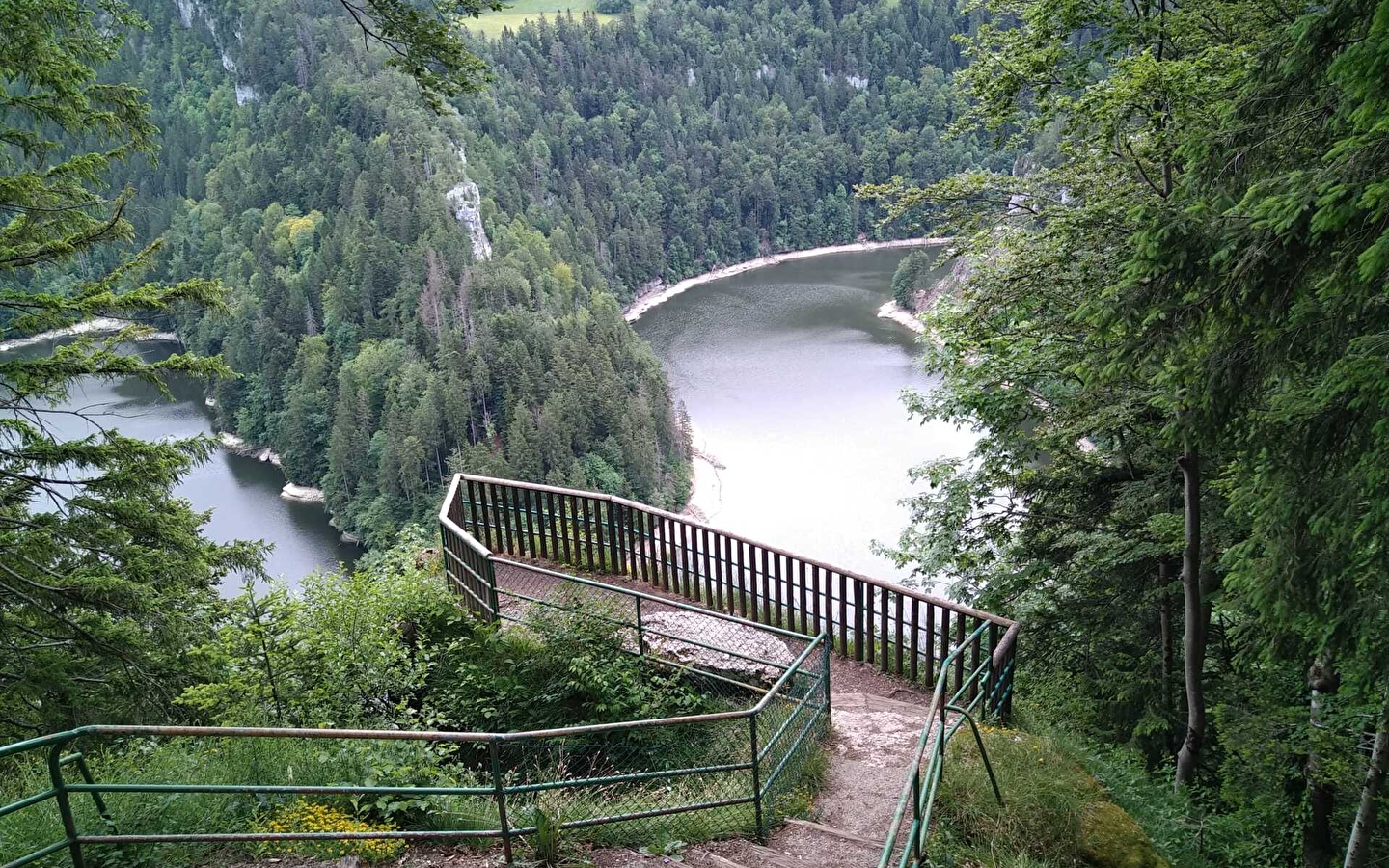 Les Taillards