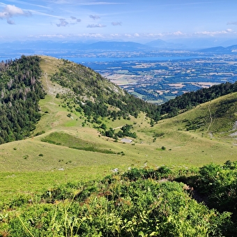 Randonnée pédestre : La Grande Marche Populaire de Gex - GEX