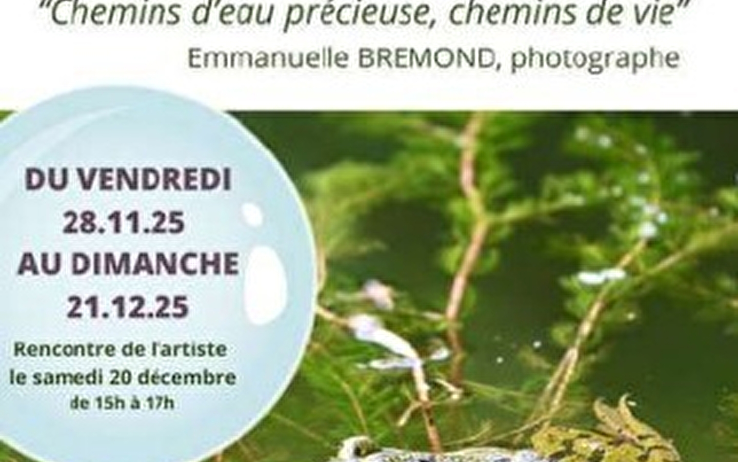 Exposition “Chemins d’eau précieuse, chemins de vie'