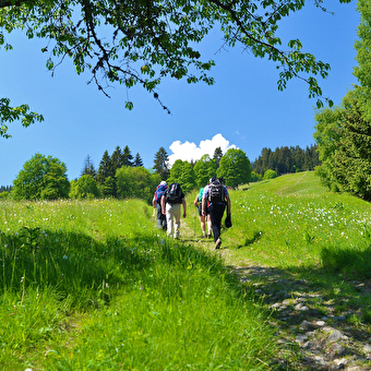 ViaCluny - ANDELOT-MORVAL