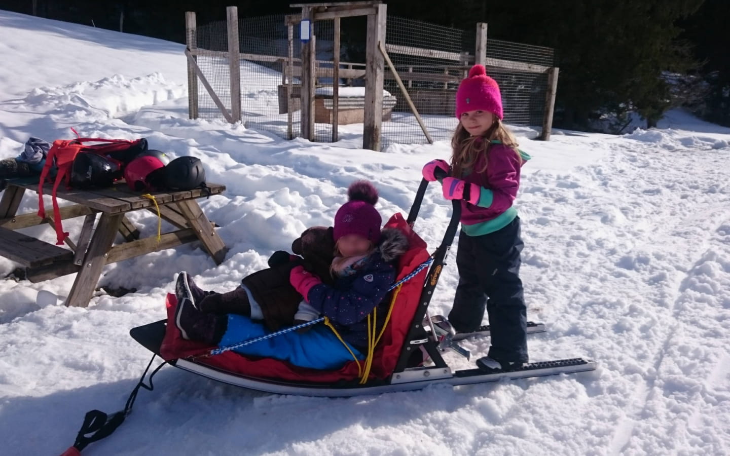Initiation à la conduite de traîneaux à chiens avec Qimmiq