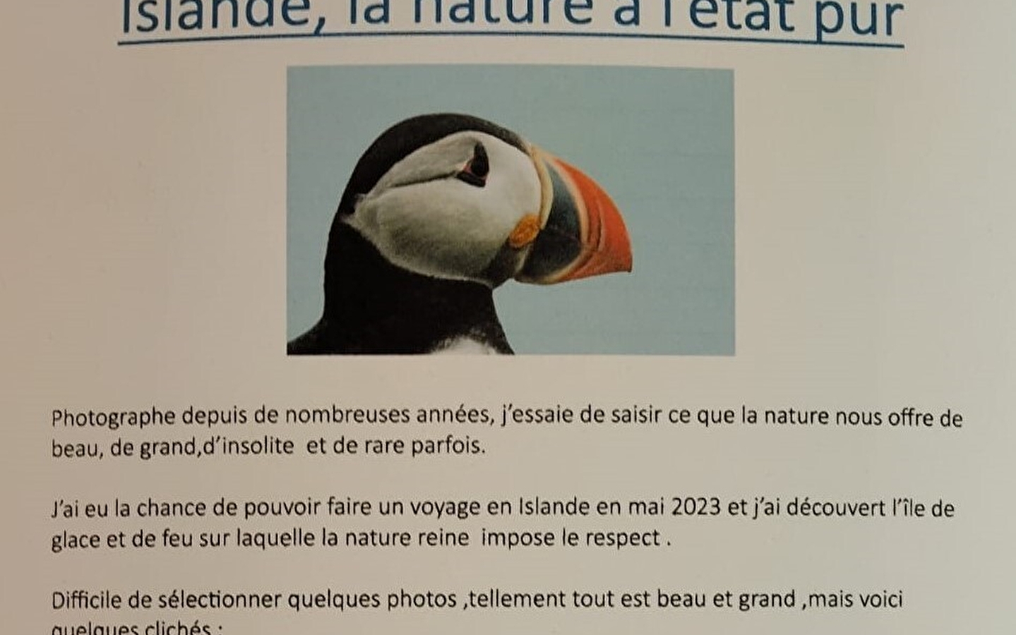 Islande, la nature à l'état pur
