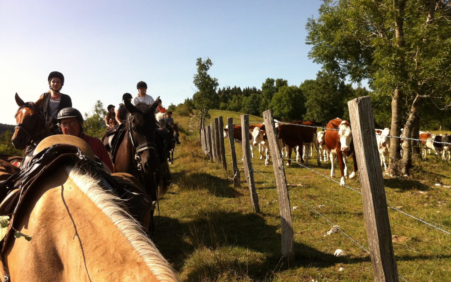 Promenade à cheval 1/2 journée avec Ranch des Balmettes