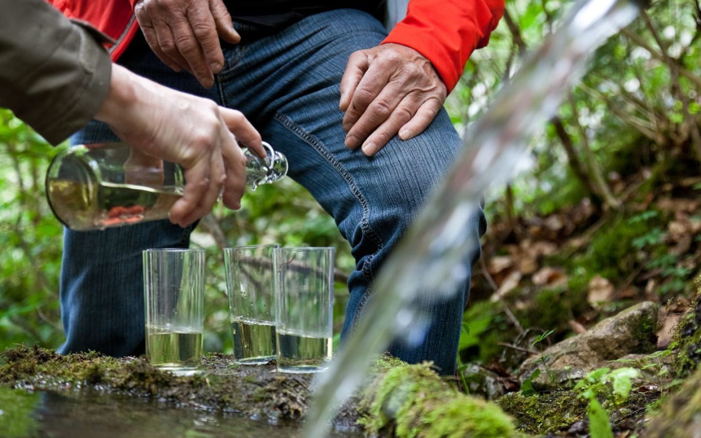 Découverte de la route de l'Absinthe