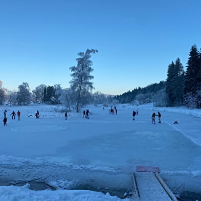 Patinage sur le lac de Lalleyriat