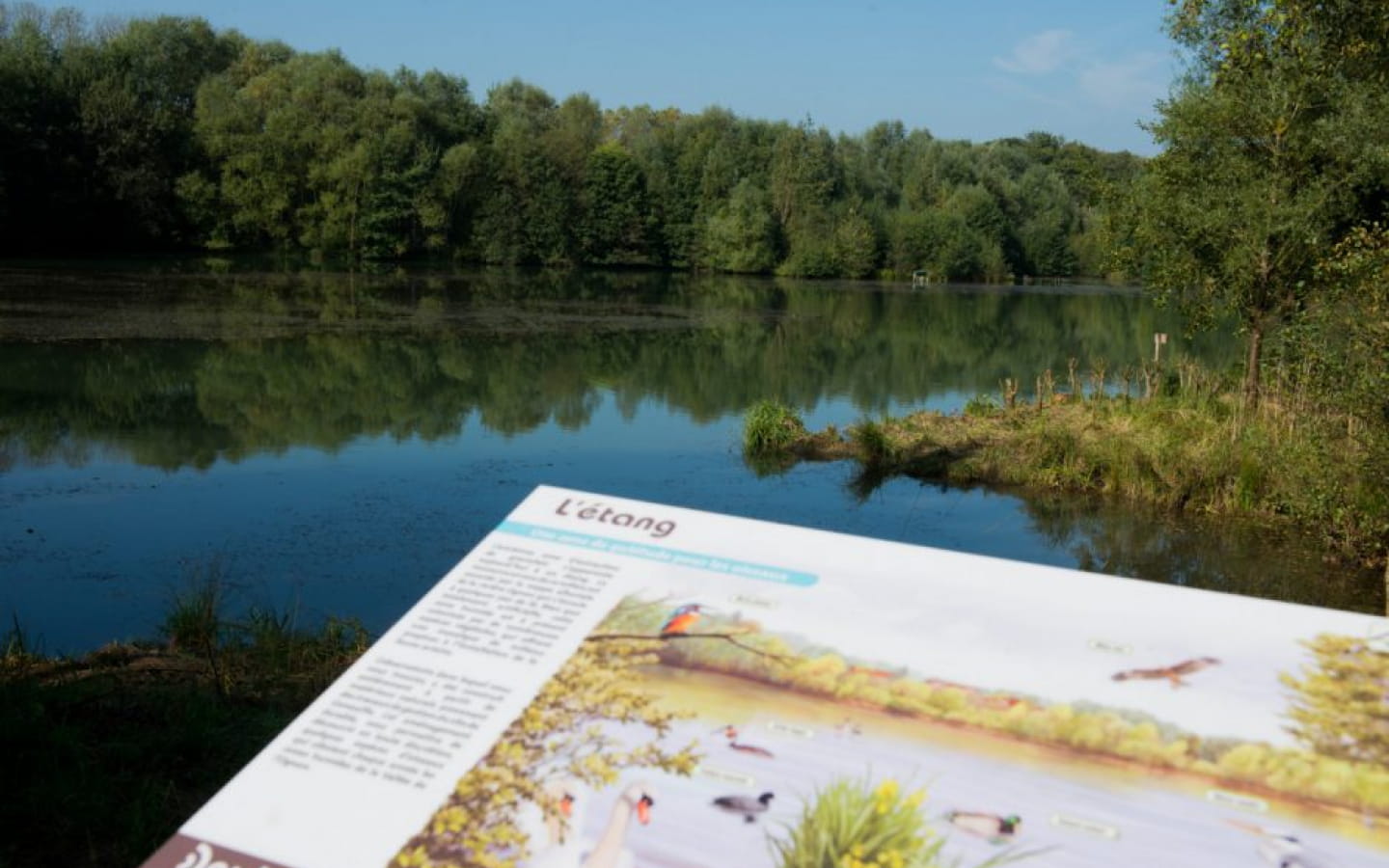 La Sablière de Geneuille - Espace Sensible Naturel