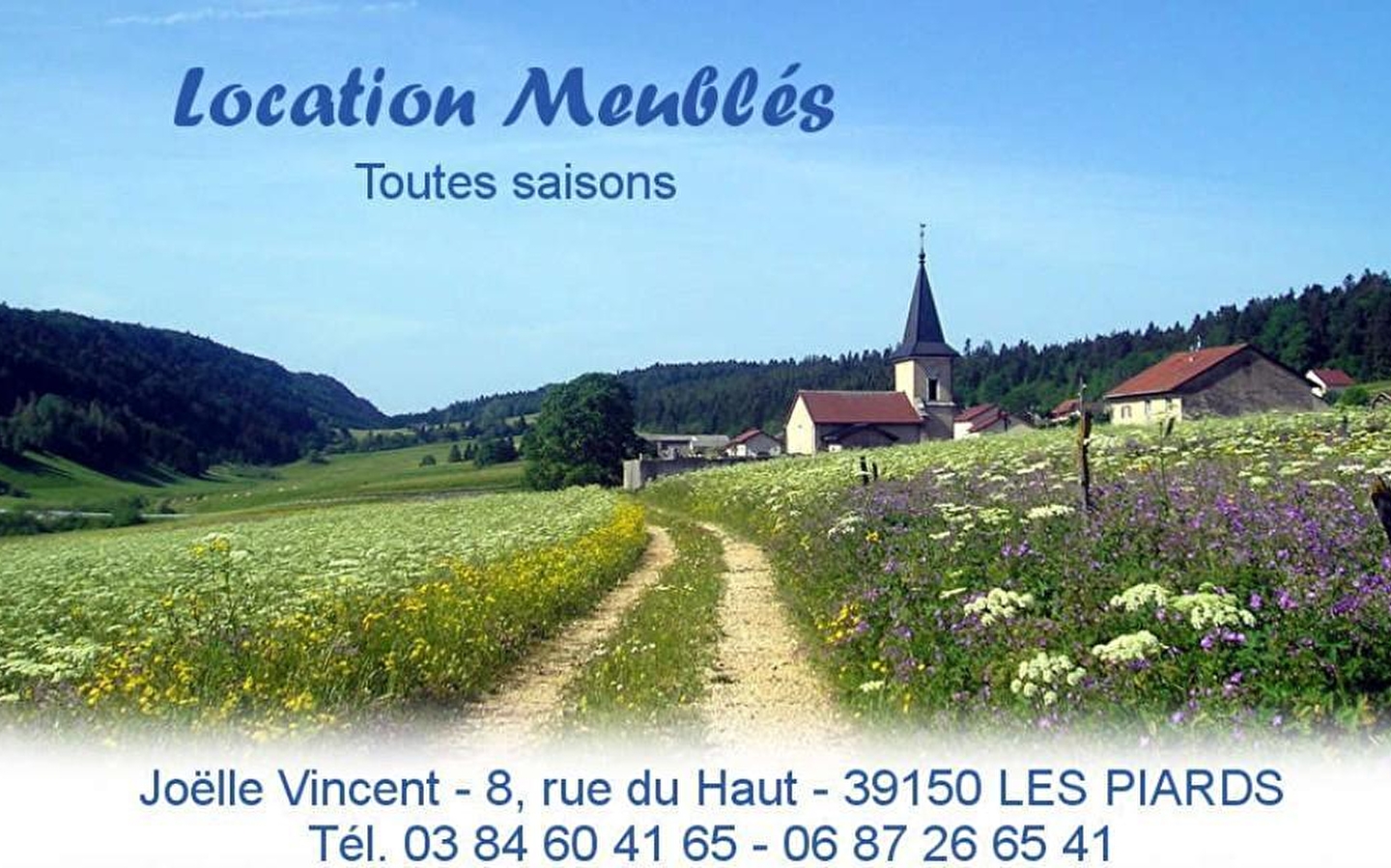 Les Forcythias