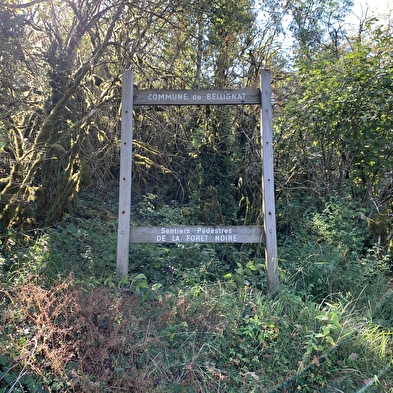 Randonnée - La Combe Noire