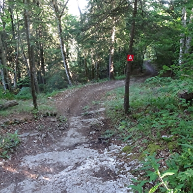 Piste VTT Descente - rouge - Chez Paco - Espace Ain Forestière