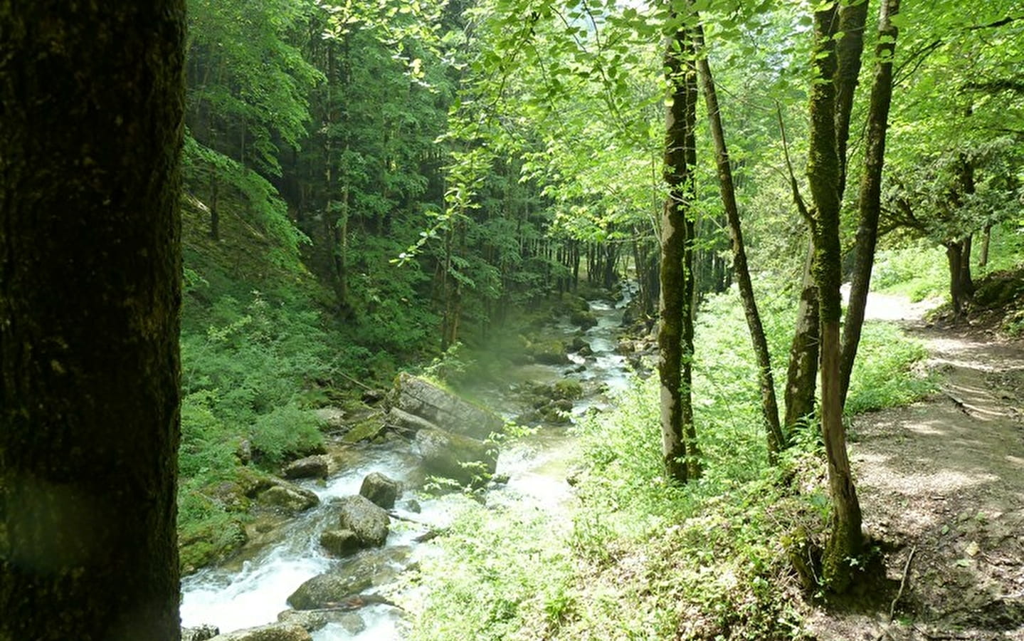 Parcours familial des cascades du Hérisson