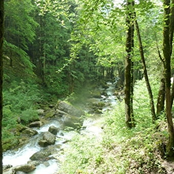 Parcours familial des cascades du Hérisson - LA CHAUX-DU-DOMBIEF