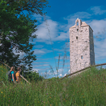 Castel-Saint-Denis - CHASSAGNE-SAINT-DENIS