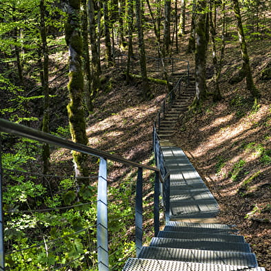 Gorges de la Langouette