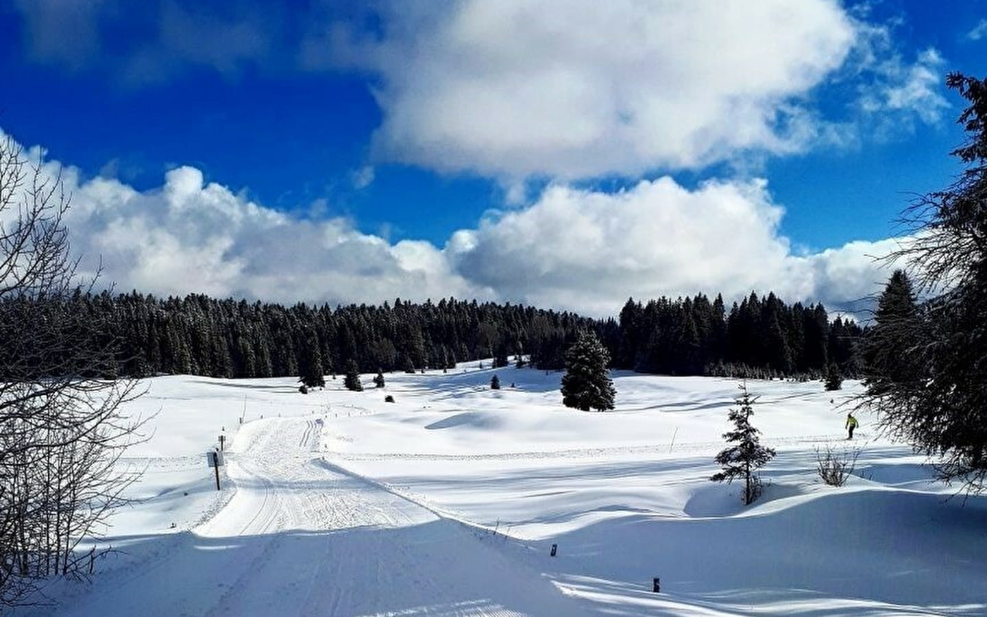 Piste rouge de ski de fond de Lachat : Le Mortier