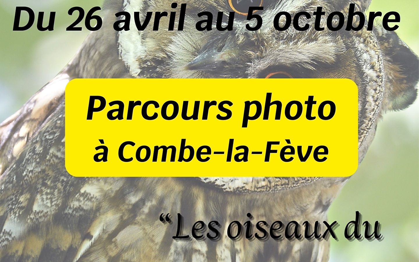 Profondeur de Champ