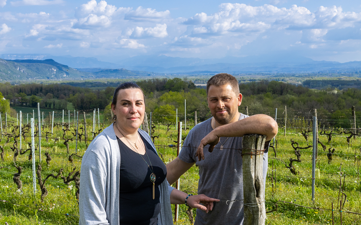 Les sens de la vigne - Domaine Trichon