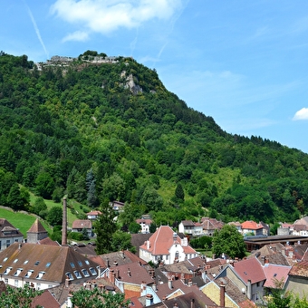 Le Fort Saint-André - MARNOZ