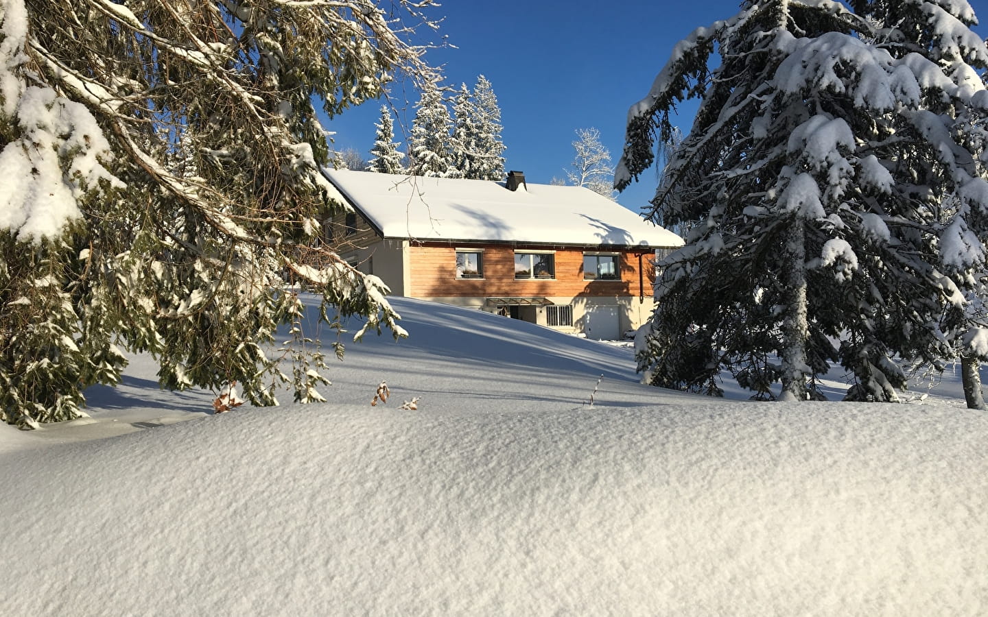 Le Chalet des Noisettes, appt la Dôle