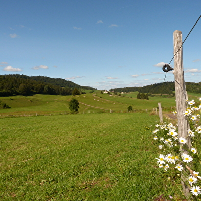 Saint-Sorlin