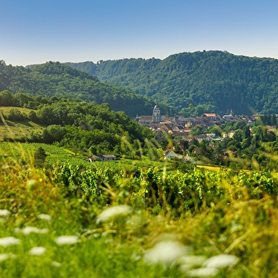 Tour du Jura Vélo Loisirs – Option Gravel : Port-Lesney – Poligny