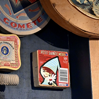 Voyage captivant au pays des boisseliers où l'épicéa est roi!