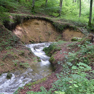 Belvédère du Dard