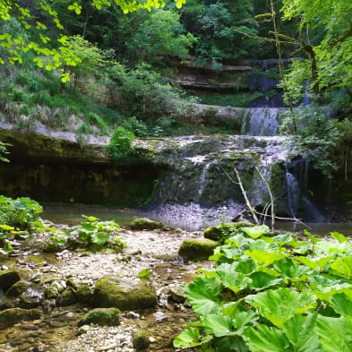 Cascade de Pissevieille