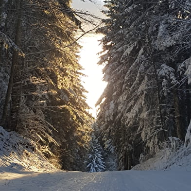 Valorse - Piste rouge de ski nordique