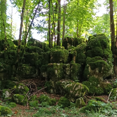 Sentier Karstique du Grand Bois
