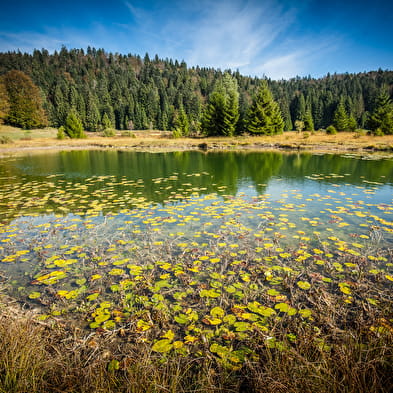 Les lacs du Haut-Bugey, ENS de l'Ain