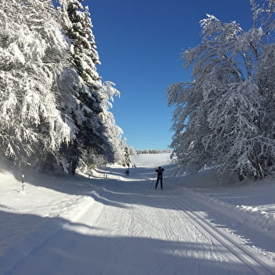 Piste bleue de ski de fond du Plateau de Retord : La Cuaz