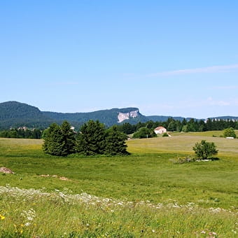 Le tour du Bief de la Chaille - LES ROUSSES