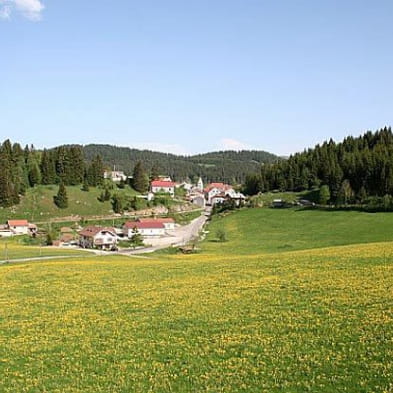 Balade en roulotte dans le Haut-Jura