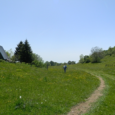 Parcours trail des Scioux dans le Massif du Grand Colombier