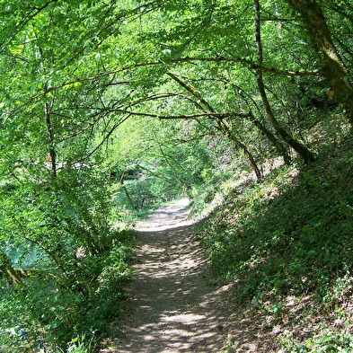 Val de Cusance