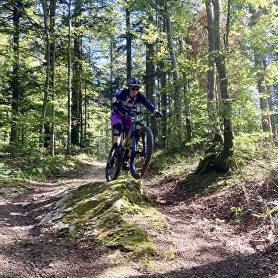 Piste VTT Enduro 5 bleu - La Pierre à l'ours - Espace FFC Ain Forestière
