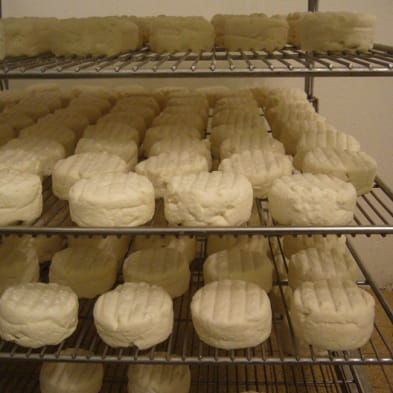 Les Chevriers d'Échazeaux